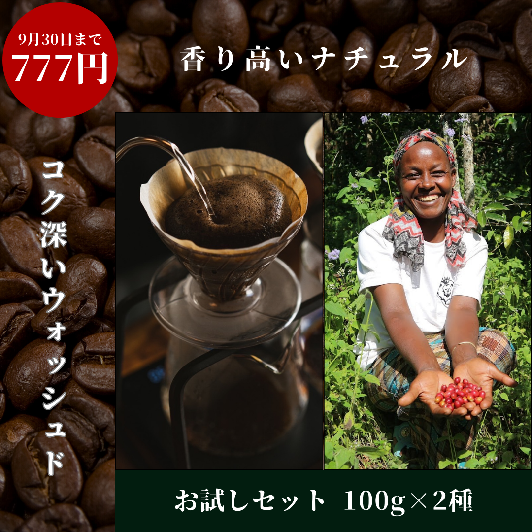 Roasted coffee beans | Habtamu