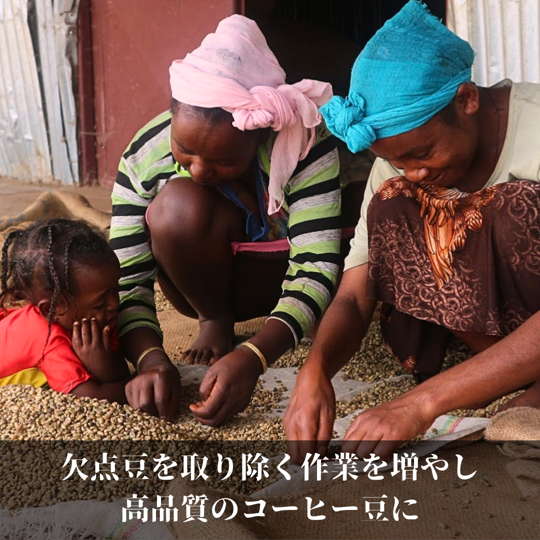 Roasted coffee beans | Habtamu