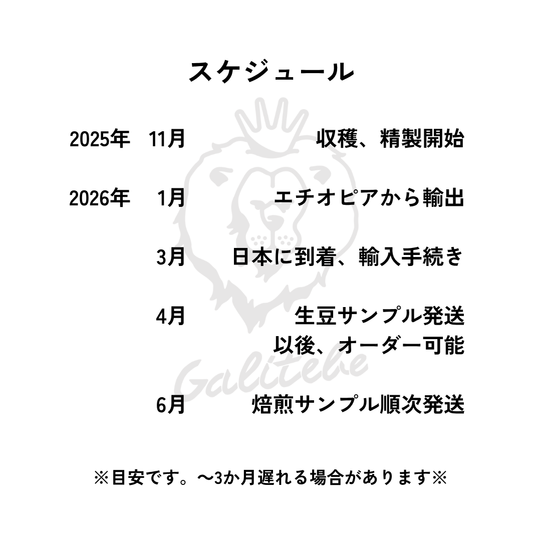 ガルテンビメンバーシップ2026