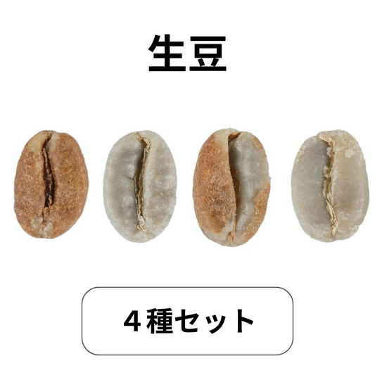 Set of 4 types | Raw coffee beans