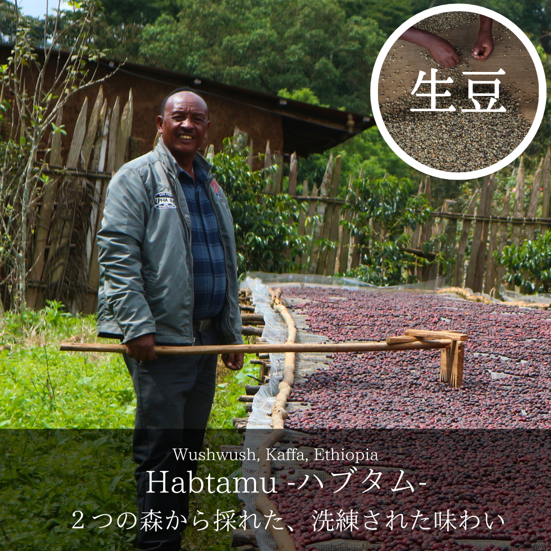 Habtamu | 生咖啡豆