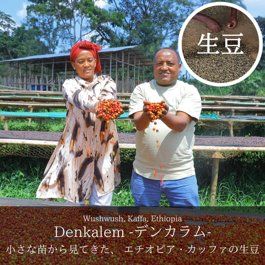 Denkalem -デンカラム-｜コーヒー生豆