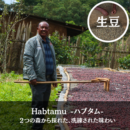 Habtamu | Raw Coffee Beans