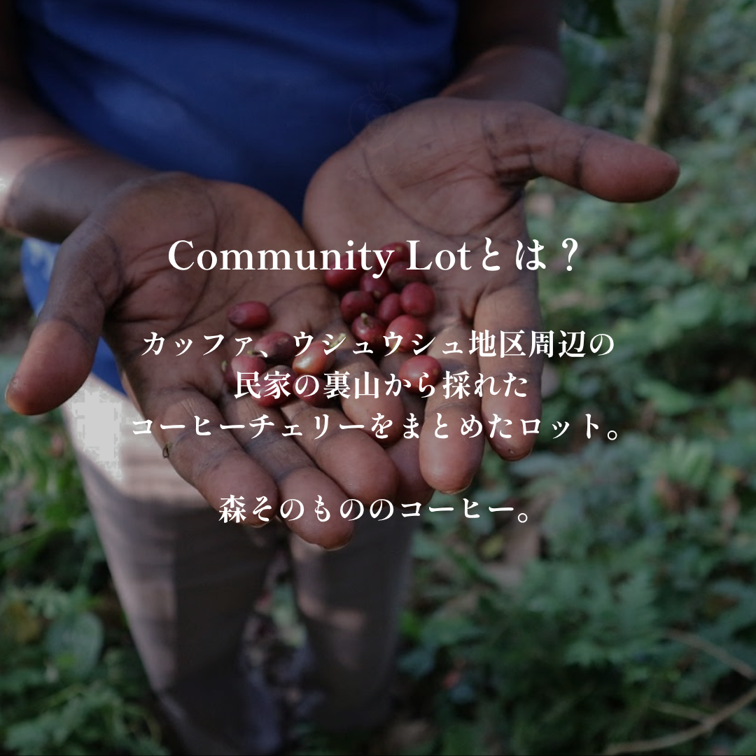 Community Lot｜生豆｜メンバー限定