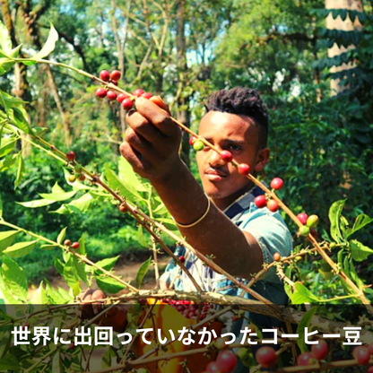 Denkalem -デンカラム-｜コーヒー生豆
