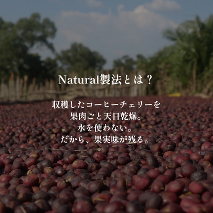 Natural｜生豆｜メンバー限定