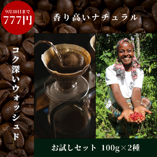 Roasted coffee beans | Habtamu