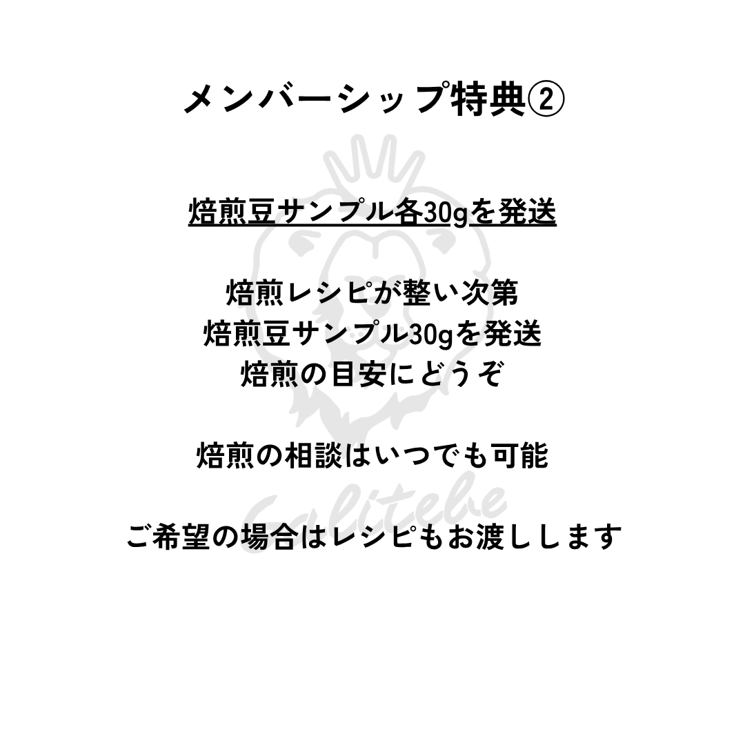 ガルテンビメンバーシップ2026