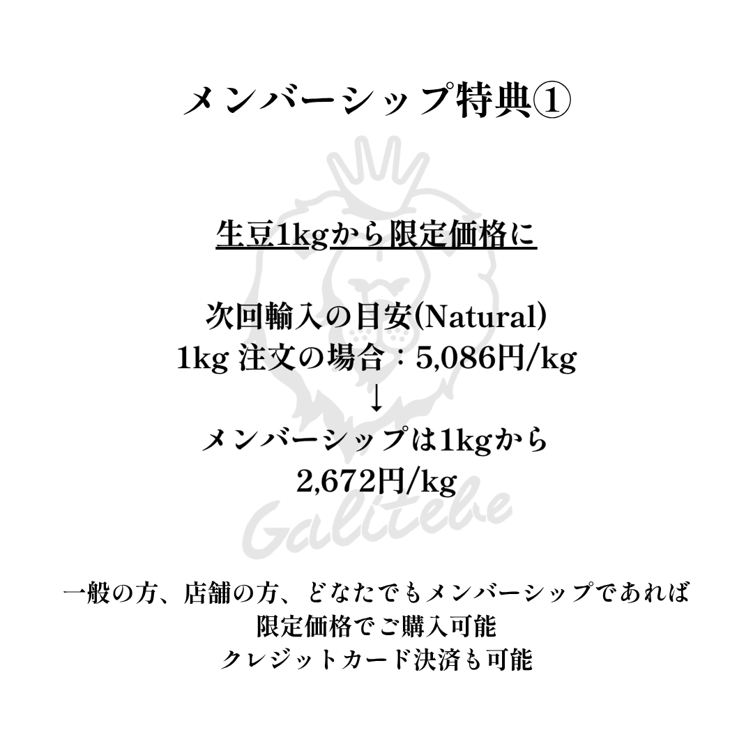 ガルテンビメンバーシップ2026