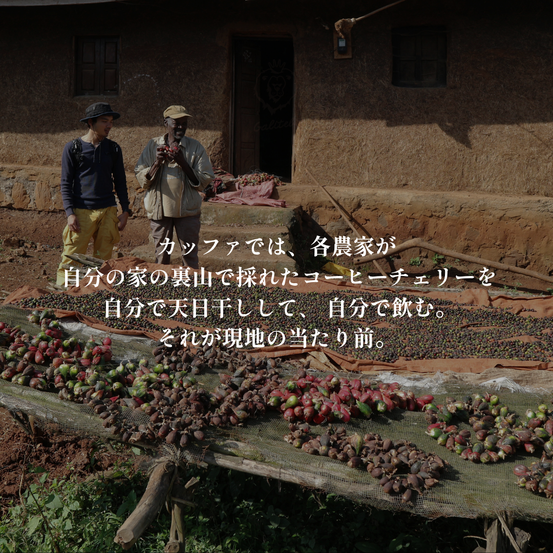 Natural｜生豆｜メンバー限定