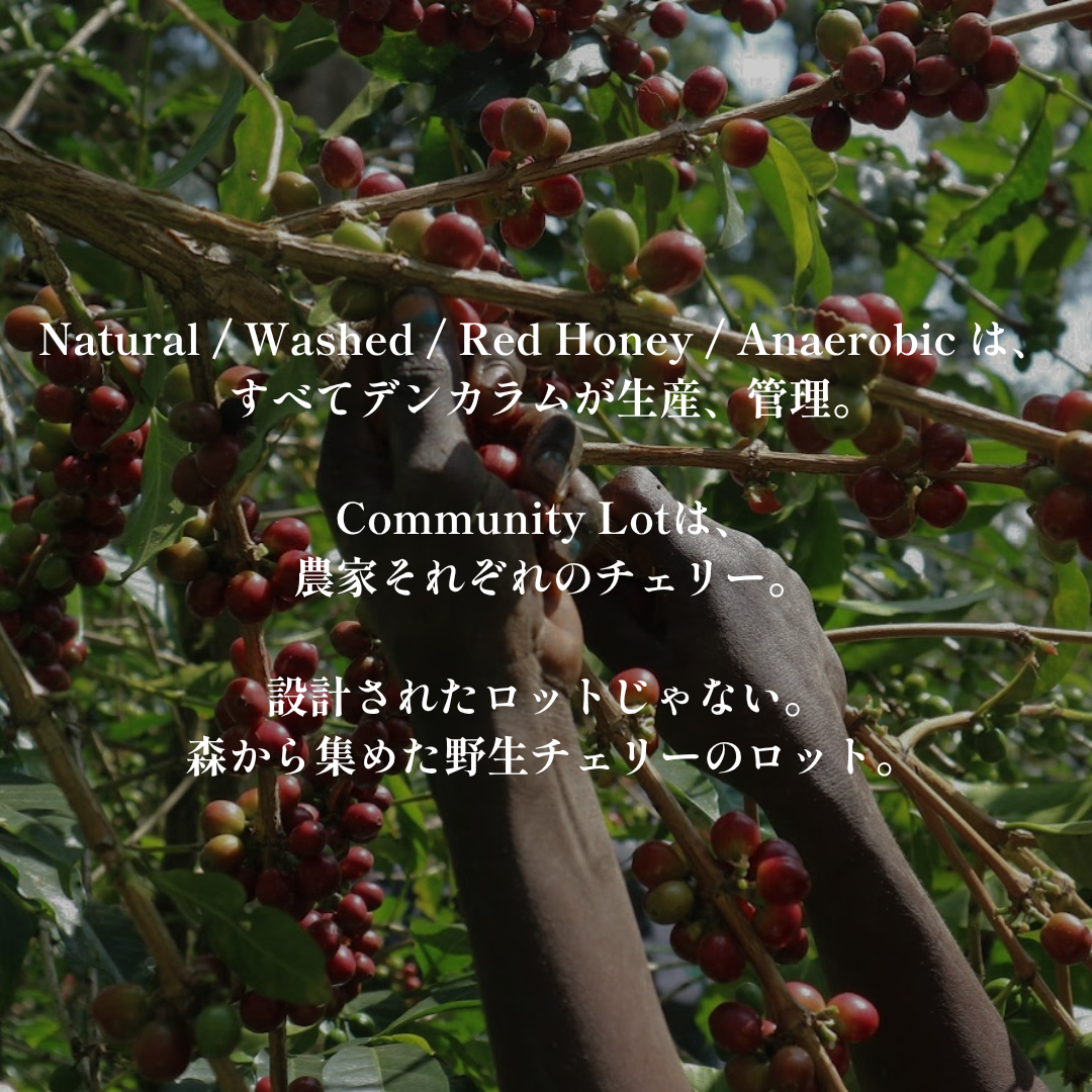 Community Lot｜生豆｜メンバー限定