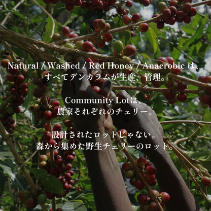 Community Lot｜生豆｜メンバー限定