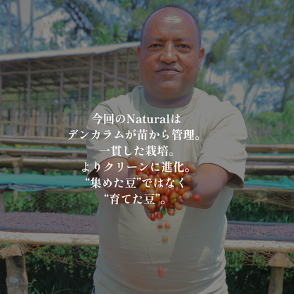 Natural｜生豆｜メンバー限定