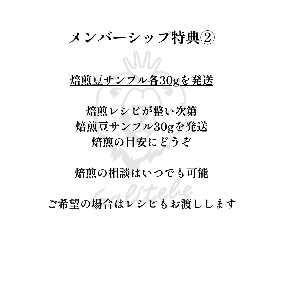 ガルテンビメンバーシップ2026