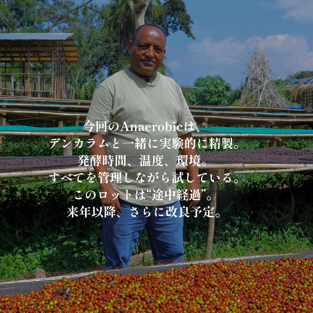 Anaerobic｜生豆｜メンバー限定