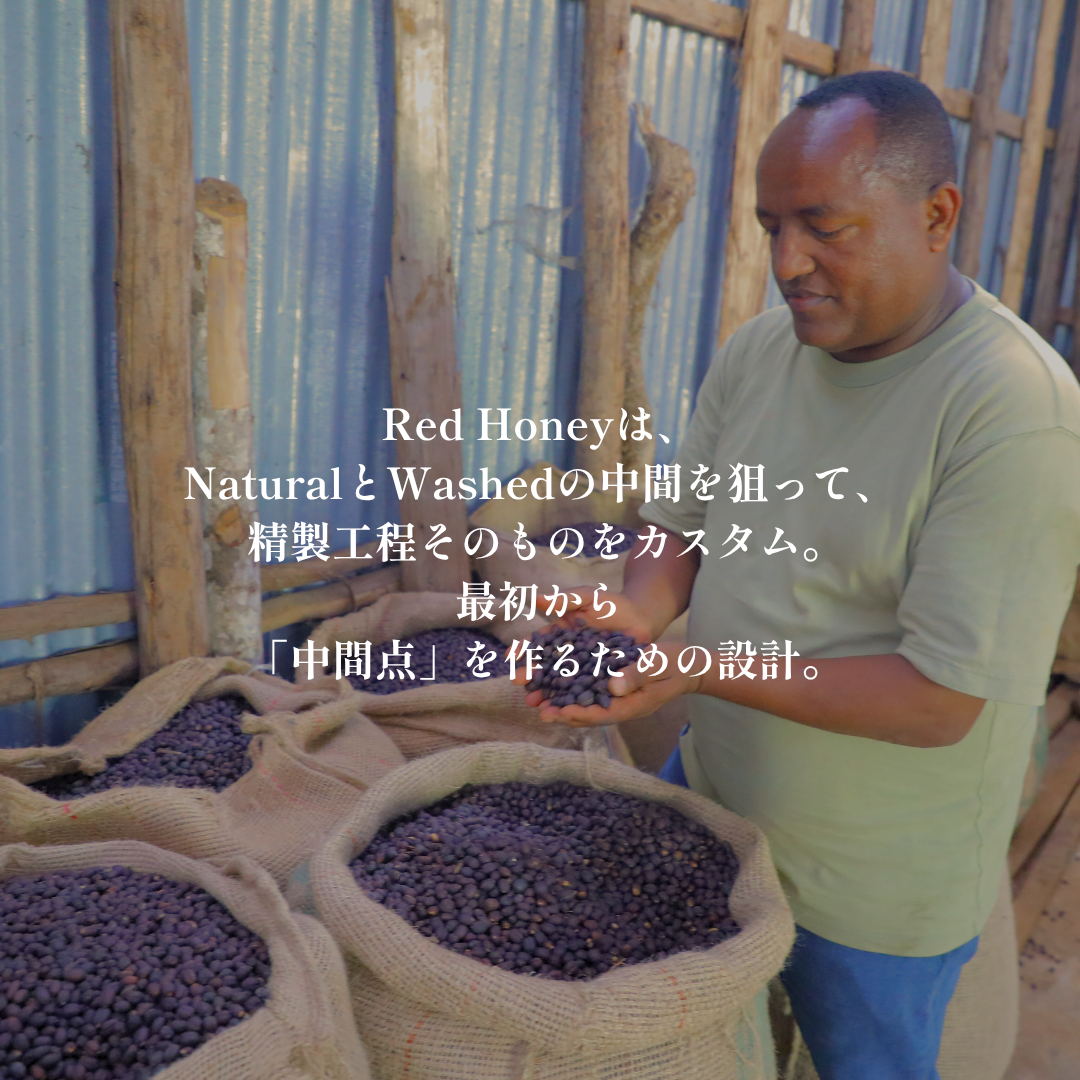 Red Honey｜生豆｜メンバー限定