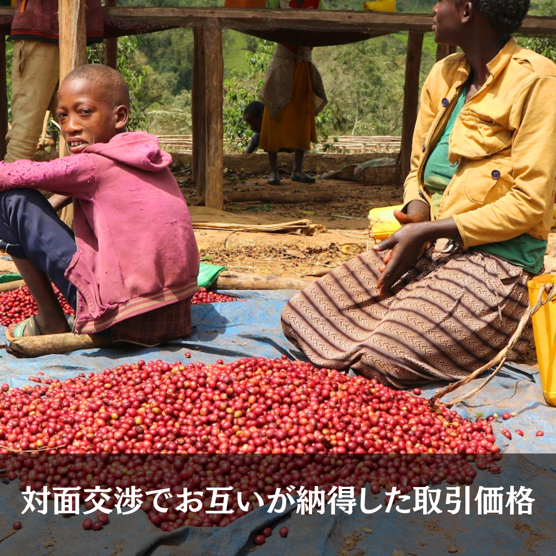 Habtamu | Raw Coffee Beans