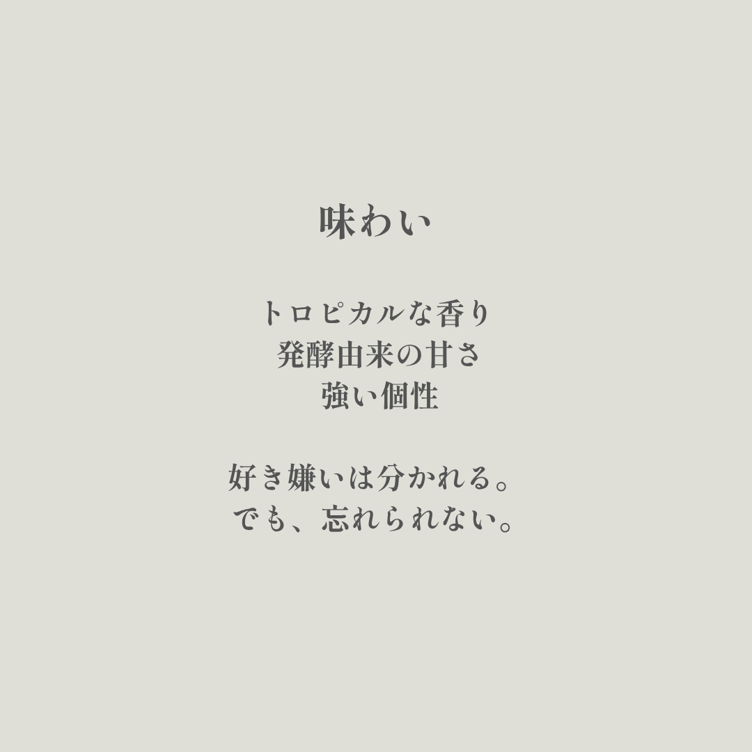 Anaerobic｜生豆｜メンバー限定