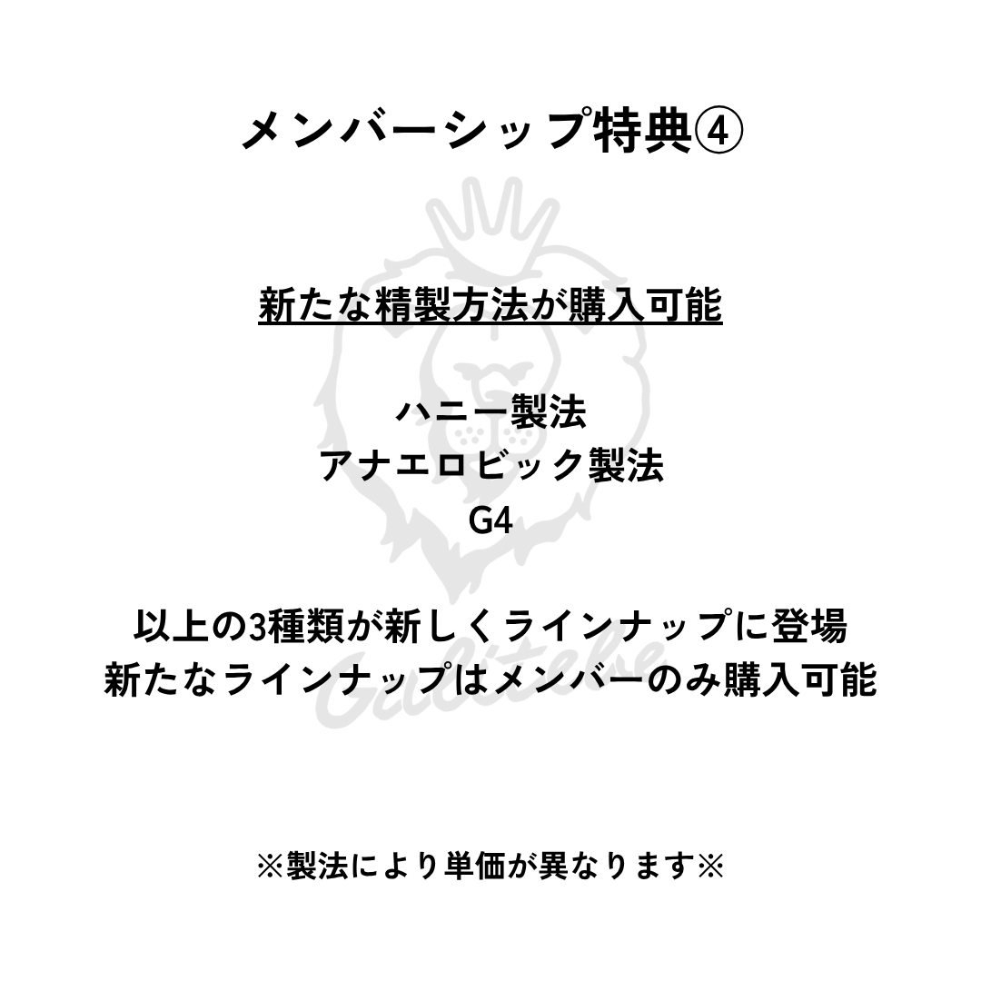 ガルテンビメンバーシップ2026