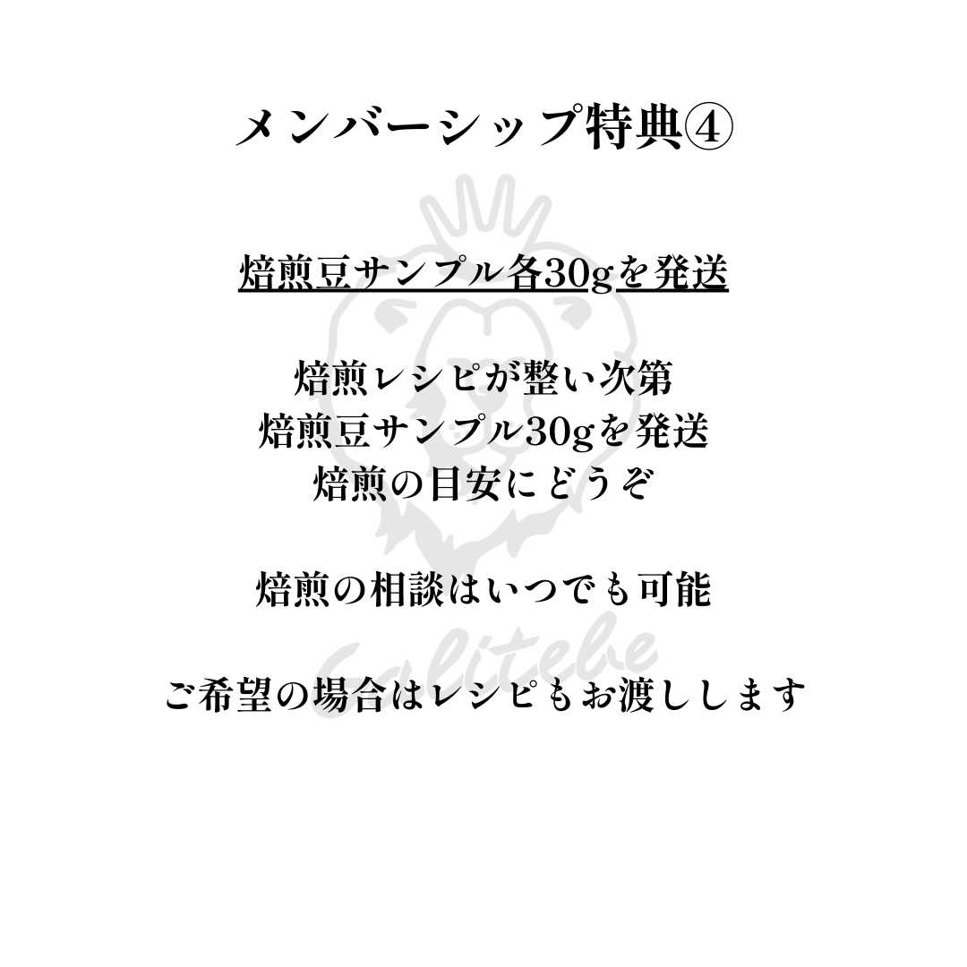 ガルテンビメンバーシップ2026