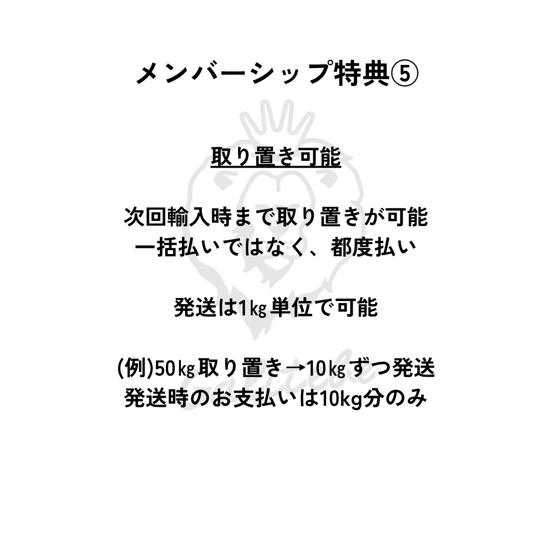 ガルテンビメンバーシップ2026