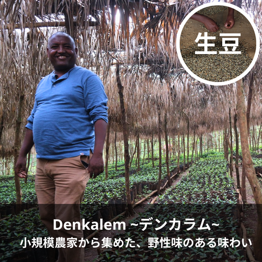 Denkalem -Denkaram-｜Green coffee beans
