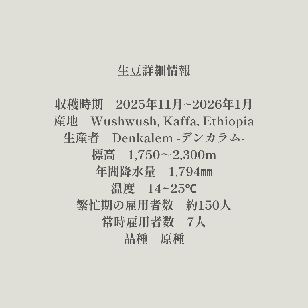 Washed｜生豆｜メンバー限定