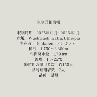 Washed｜生豆｜メンバー限定