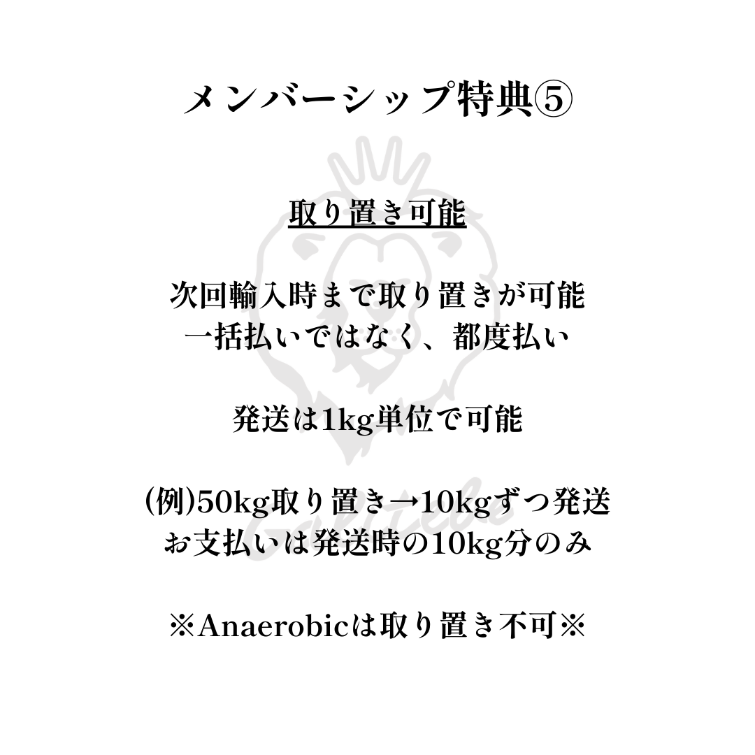 ガルテンビメンバーシップ2026