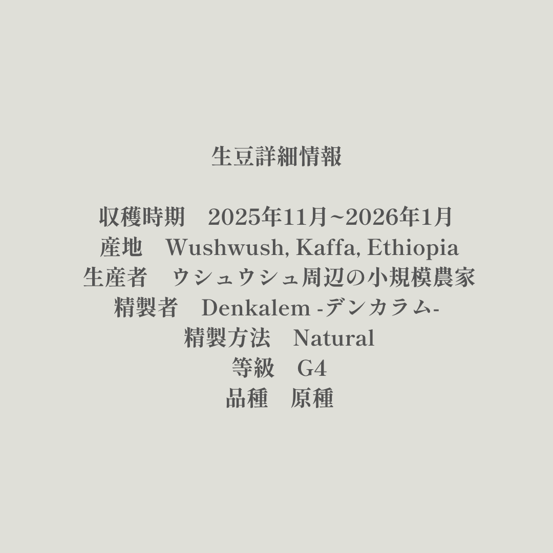 Community Lot｜生豆｜メンバー限定