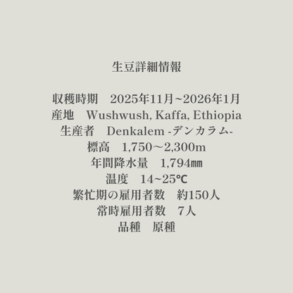 Red Honey｜生豆｜メンバー限定