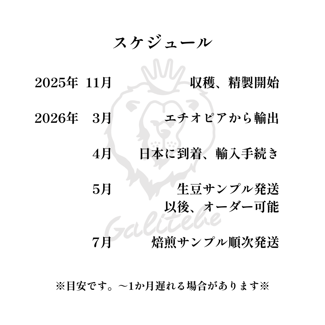 ガルテンビメンバーシップ2026