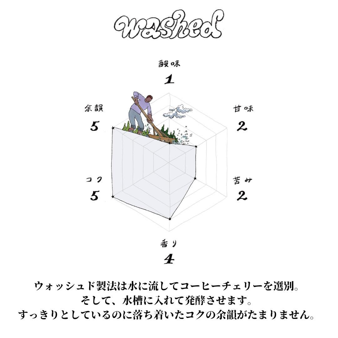 【お試しセット】ナチュラル&ウォッシュド飲み比べ｜焙煎豆