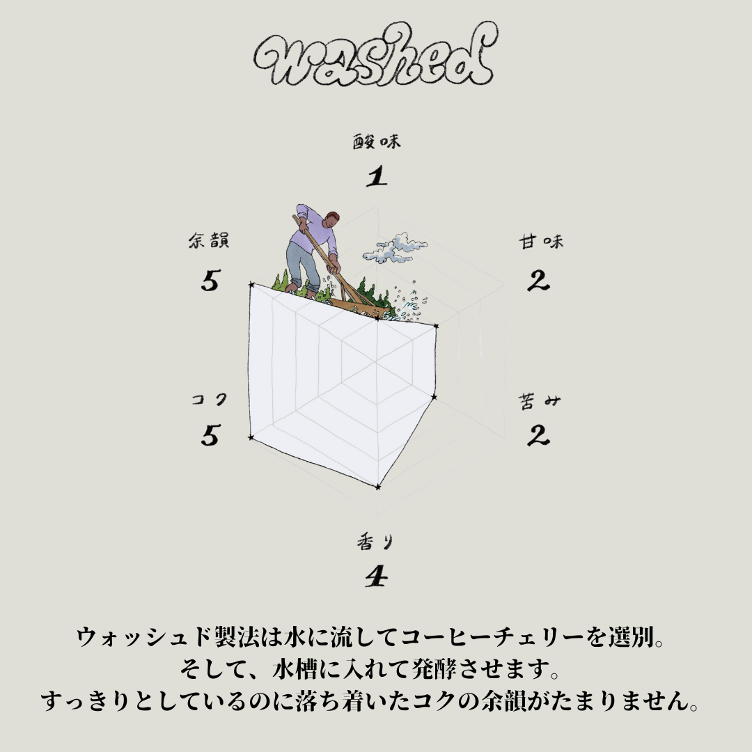 自家焙煎コーヒー豆