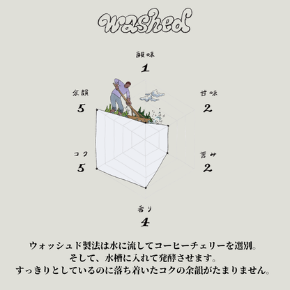 自家焙煎コーヒー豆