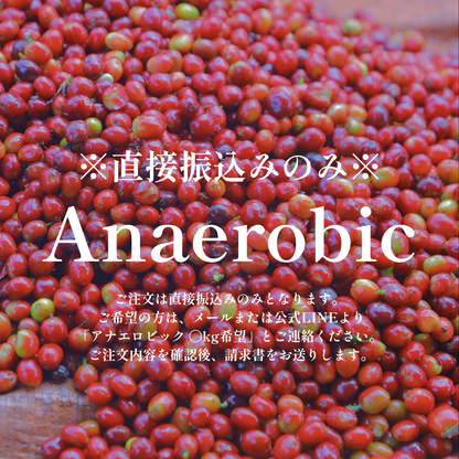 Anaerobic｜生豆｜メンバー限定
