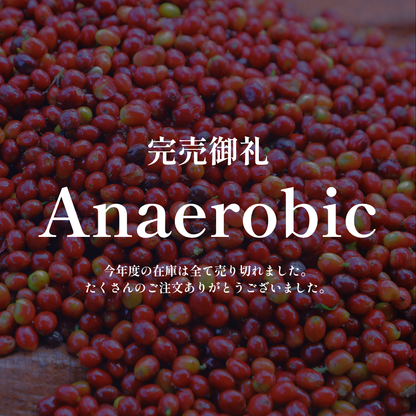 Anaerobic｜生豆｜メンバー限定