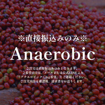 Anaerobic｜生豆｜メンバー限定