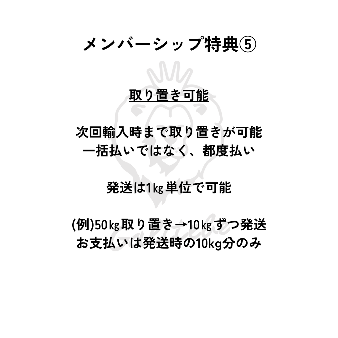 ガルテンビメンバーシップ2026