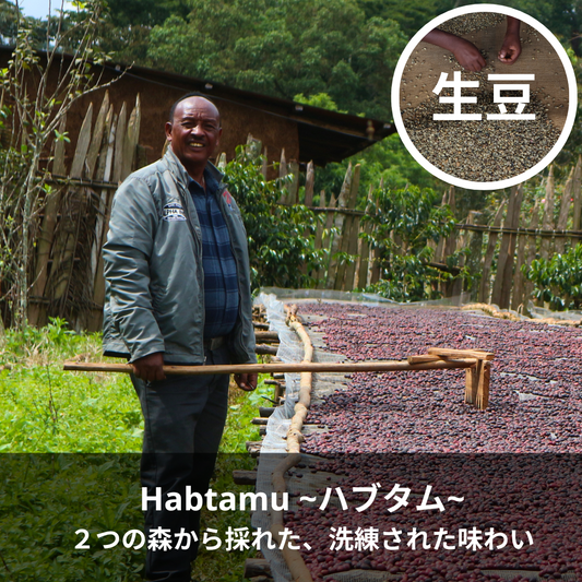 Habtamu -ハブタム-｜コーヒー生豆